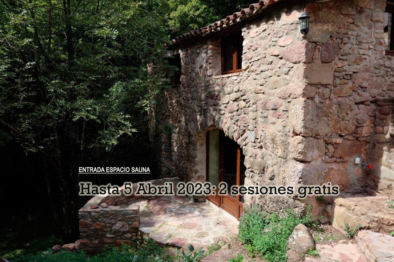 La Cabana Del Moli De La Plana Riudaura Esterno foto