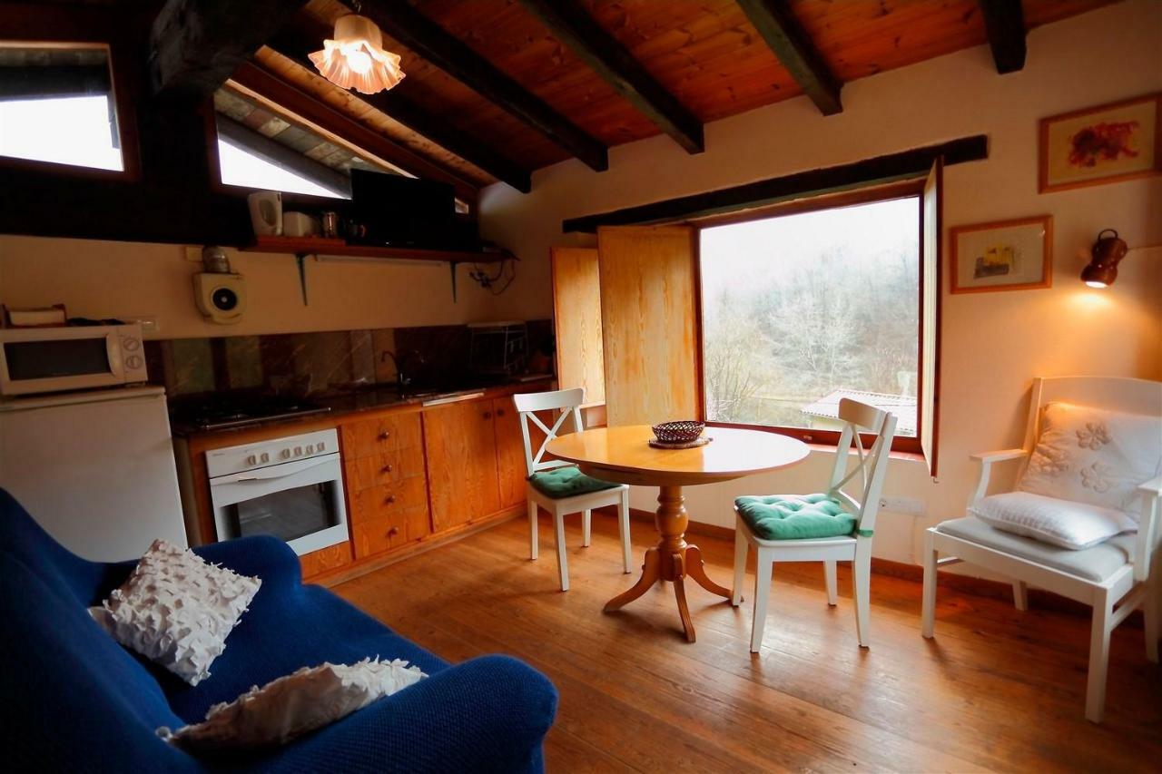 La Cabana Del Moli De La Plana Riudaura Esterno foto