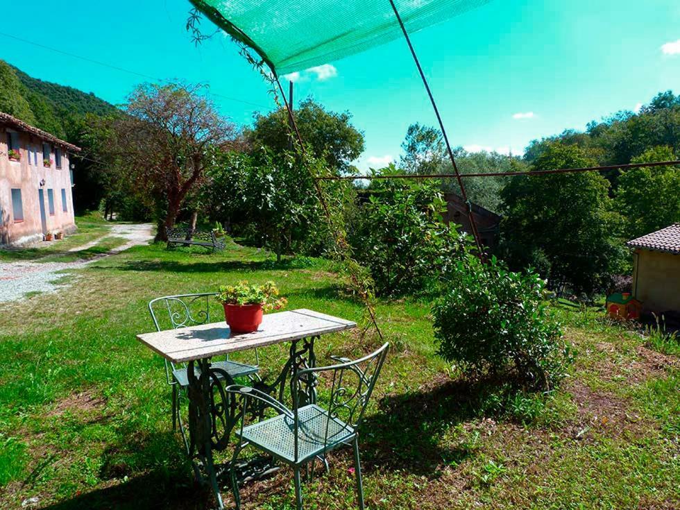 La Cabana Del Moli De La Plana Riudaura Esterno foto