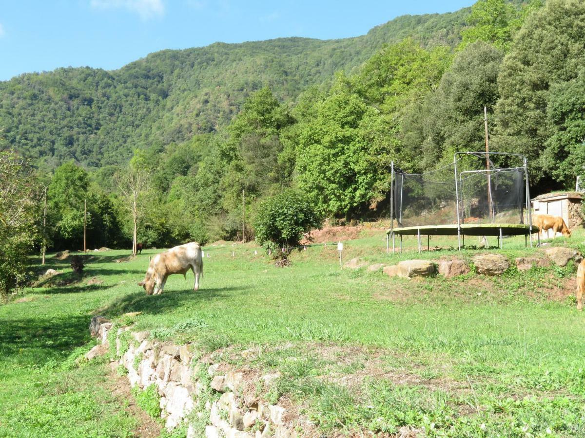 La Cabana Del Moli De La Plana Riudaura Esterno foto